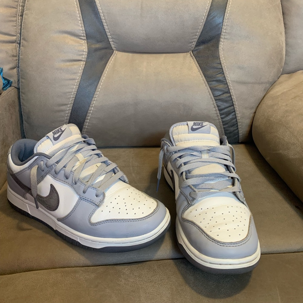 Men’s Nike Dunks - Color Light Carbon